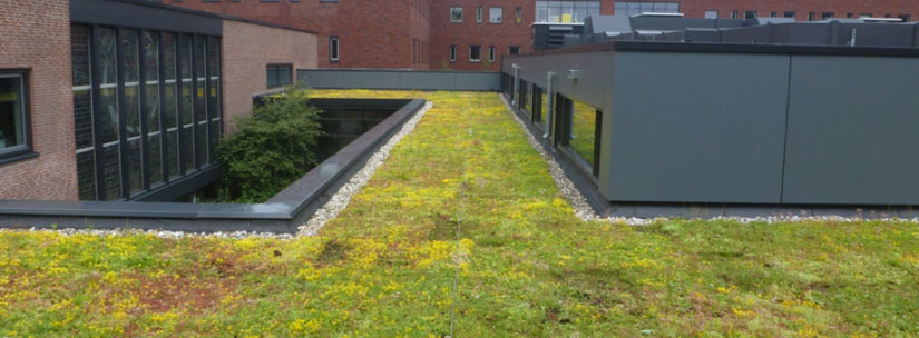 Daktuin Maurik college 4