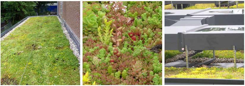 Daktuin Maurik college 5