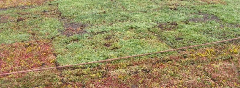 Dakwerkzaamheden VVE 1