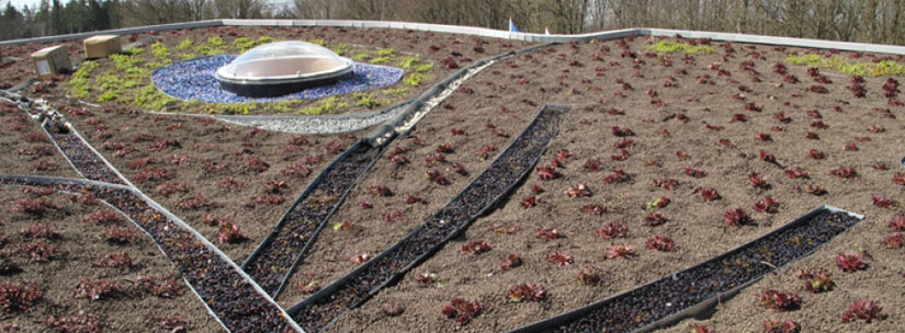 Drielandenpunt Vaals Dakterras 4